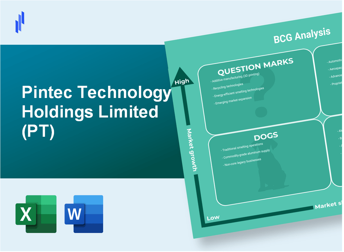 Pintec Technology Holdings Limited (PT) BCG Matrix Analysis