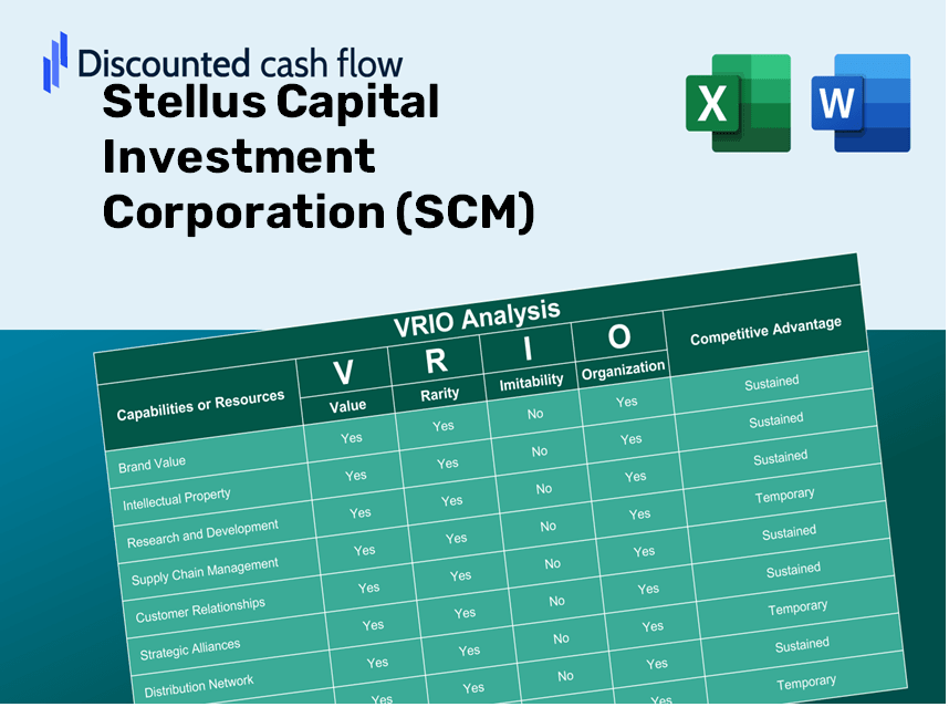 Stellus Capital Investment Corporation (SCM): VRIO Analysis [10-2024 Updated]