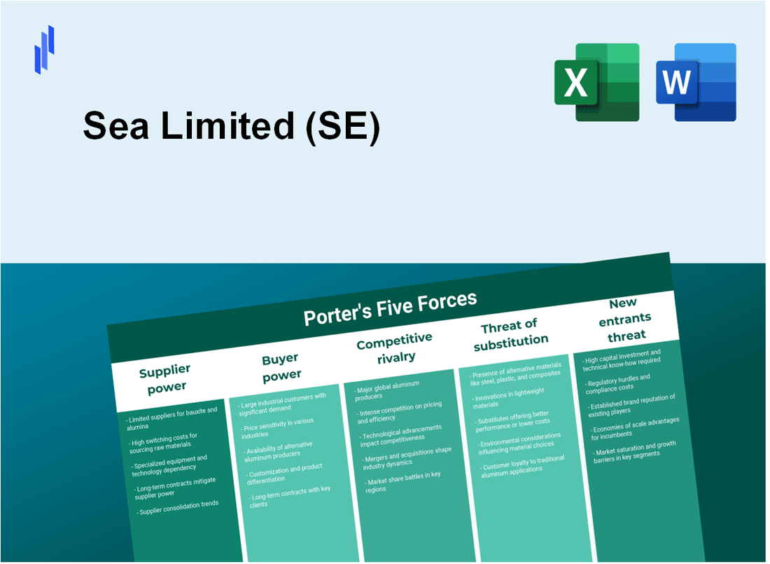 What are the Porter’s Five Forces of Sea Limited (SE)?