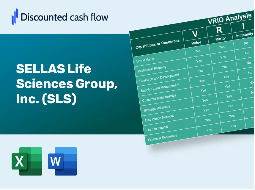 SELLAS Life Sciences Group, Inc. (SLS): VRIO Analysis [10-2024 Updated]