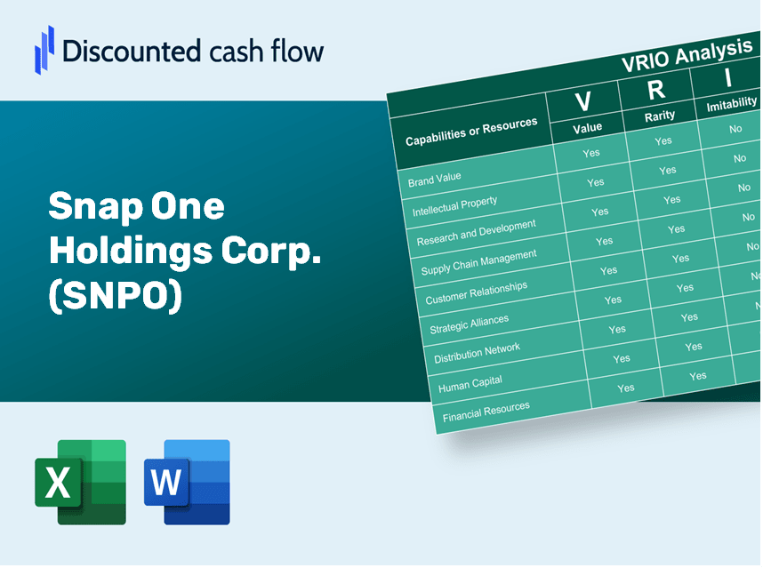 Snap One Holdings Corp. (SNPO): VRIO Analysis [10-2024 Updated]