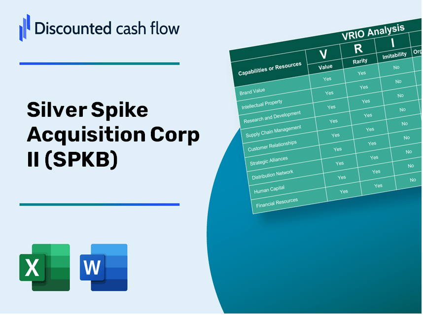 Silver Spike Acquisition Corp II (SPKB): VRIO Analysis [10-2024 Updated]