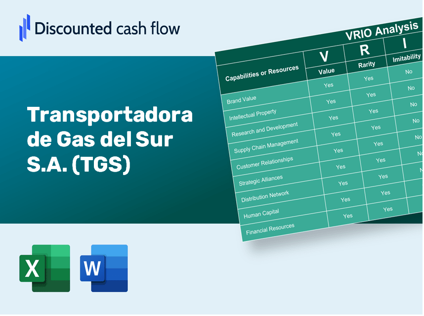 Transportadora de Gas del Sur S.A. (TGS): VRIO Analysis [10-2024 Updated]