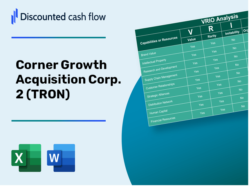 Corner Growth Acquisition Corp. 2 (TRON): VRIO Analysis [10-2024 Updated]