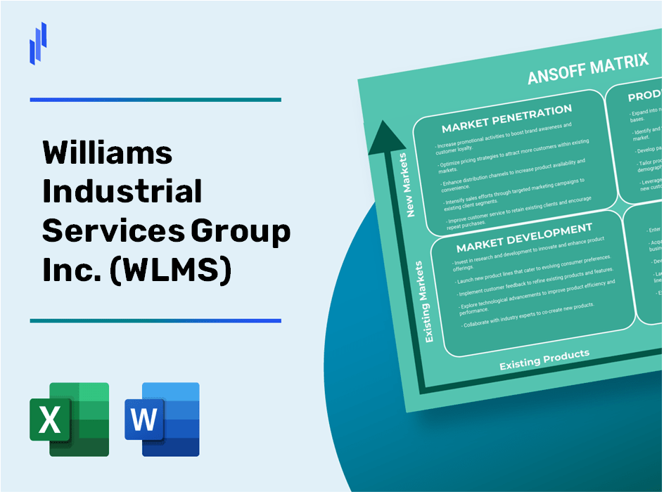 Williams Industrial Services Group Inc. (WLMS)Ansoff Matrix