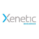 Xenetic Biosciences, Inc. (XBIO), Discounted Cash Flow Valuation