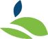 Sonnet BioTherapeutics Holdings, Inc. (SONN), Discounted Cash Flow Valuation