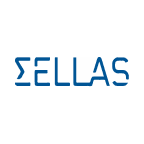 SELLAS Life Sciences Group, Inc. (SLS), Discounted Cash Flow Valuation