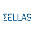 SELLAS Life Sciences Group, Inc. (SLS), Discounted Cash Flow Valuation