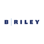 B. Riley Principal 250 Merger Corp. (BRIV), Discounted Cash Flow Valuation