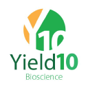 Yield10 Bioscience, Inc. (YTEN), Discounted Cash Flow Valuation