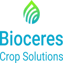 Bioceres Crop Solutions Corp. (BIOX), Discounted Cash Flow Valuation