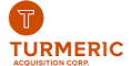Turmeric Acquisition Corp. (TMPM), Discounted Cash Flow Valuation