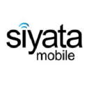 Siyata Mobile Inc. (SYTA), Discounted Cash Flow Valuation