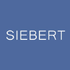 Siebert Financial Corp. (SIEB), Discounted Cash Flow Valuation