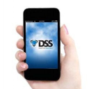 DSS, Inc. (DSS), Discounted Cash Flow Valuation