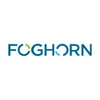 Foghorn Therapeutics Inc. (FHTX), Discounted Cash Flow Valuation