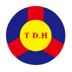 TDH Holdings, Inc. (PETZ), Discounted Cash Flow Valuation