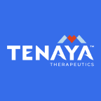 Tenaya Therapeutics, Inc. (TNYA), Discounted Cash Flow Valuation