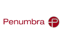 Penumbra, Inc. (PEN), Discounted Cash Flow Valuation