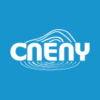 CN Energy Group. Inc. (CNEY), Discounted Cash Flow Valuation