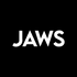 JAWS Hurricane Acquisition Corporation (HCNE), Discounted Cash Flow Valuation