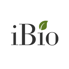 iBio, Inc. (IBIO), Discounted Cash Flow Valuation