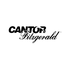 CF Acquisition Corp. VIII (CFFE), Discounted Cash Flow Valuation