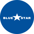 Blue Star Foods Corp. (BSFC), Discounted Cash Flow Valuation