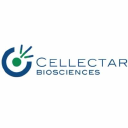 Cellectar Biosciences, Inc. (CLRB), Discounted Cash Flow Valuation