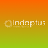 Indaptus Therapeutics, Inc. (INDP), Discounted Cash Flow Valuation