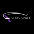 Sidus Space, Inc. (SIDU), Discounted Cash Flow Valuation