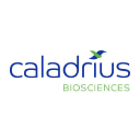 Caladrius Biosciences, Inc. (CLBS), Discounted Cash Flow Valuation