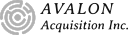 Avalon Acquisition Inc. (AVAC), Discounted Cash Flow Valuation